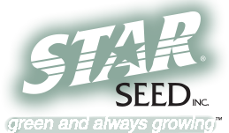 Star Seed